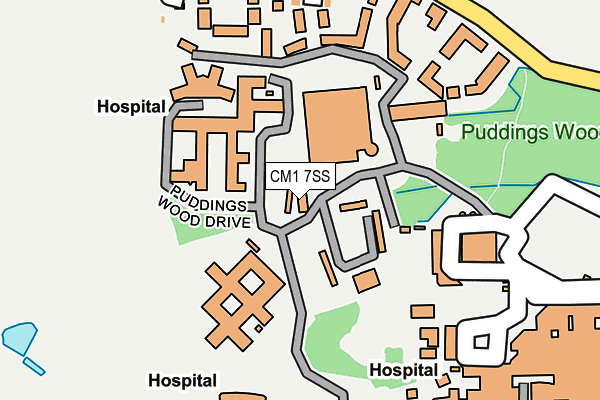 CM1 7SS map - OS OpenMap – Local (Ordnance Survey)