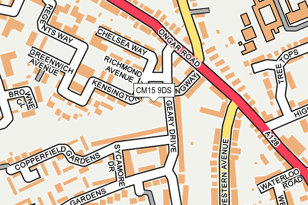 CM15 9DS map - OS OpenMap – Local (Ordnance Survey)