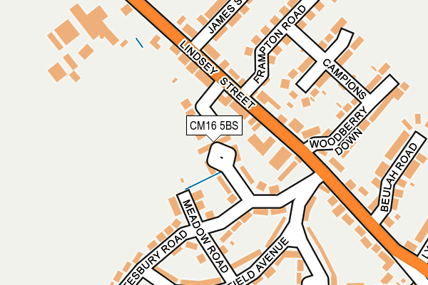 CM16 5BS map - OS OpenMap – Local (Ordnance Survey)