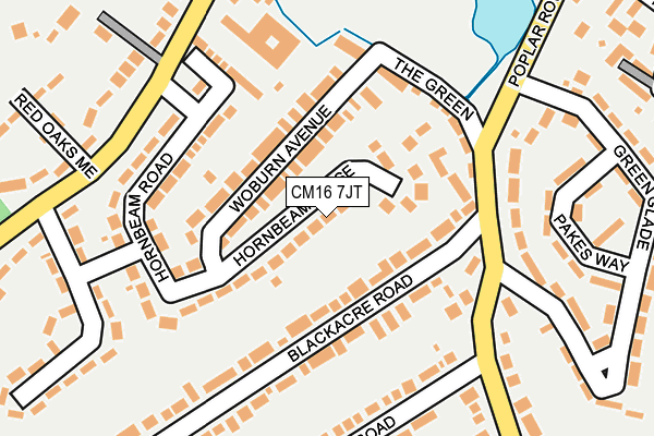 CM16 7JT map - OS OpenMap – Local (Ordnance Survey)