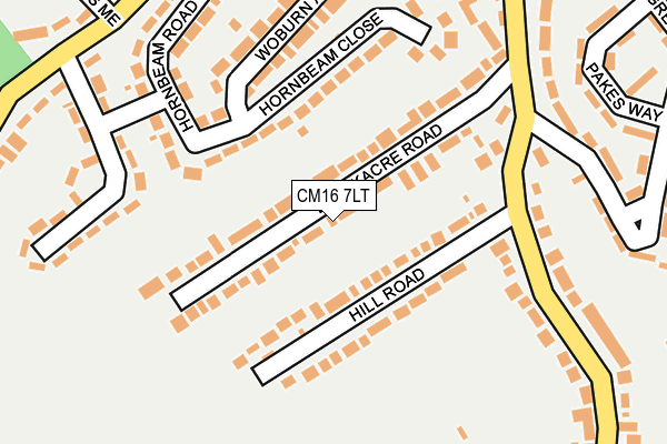 CM16 7LT map - OS OpenMap – Local (Ordnance Survey)