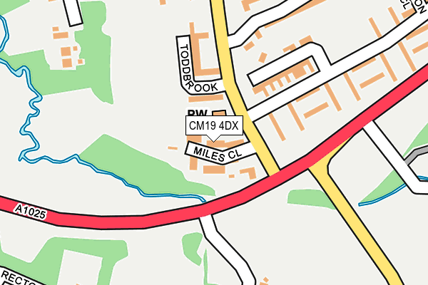 CM19 4DX map - OS OpenMap – Local (Ordnance Survey)