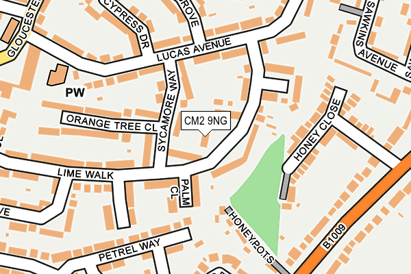 CM2 9NG map - OS OpenMap – Local (Ordnance Survey)