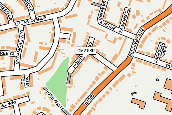 CM2 9SP map - OS OpenMap – Local (Ordnance Survey)