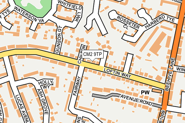 CM2 9TP map - OS OpenMap – Local (Ordnance Survey)