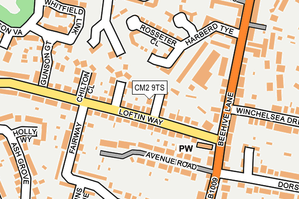 CM2 9TS map - OS OpenMap – Local (Ordnance Survey)