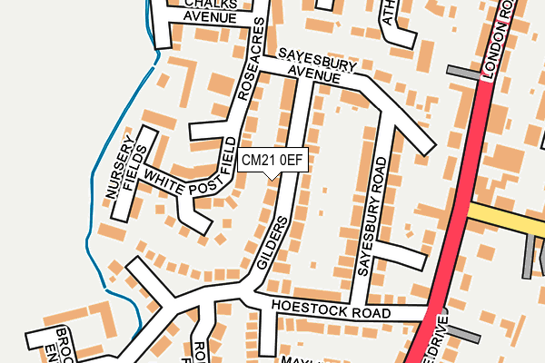 CM21 0EF map - OS OpenMap – Local (Ordnance Survey)