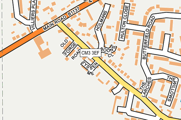 CM3 3EF map - OS OpenMap – Local (Ordnance Survey)