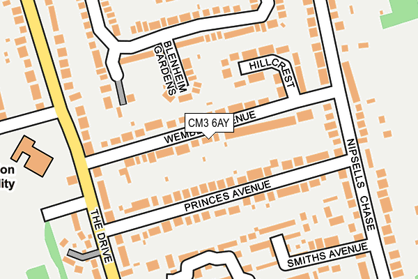 CM3 6AY map - OS OpenMap – Local (Ordnance Survey)
