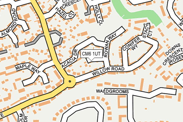 CM6 1UT map - OS OpenMap – Local (Ordnance Survey)
