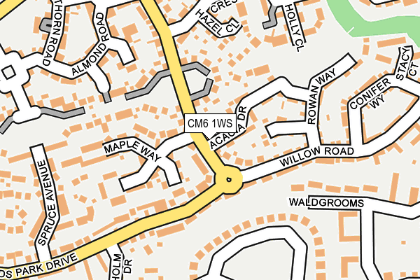 CM6 1WS map - OS OpenMap – Local (Ordnance Survey)