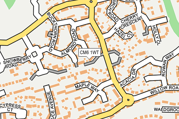 CM6 1WT map - OS OpenMap – Local (Ordnance Survey)