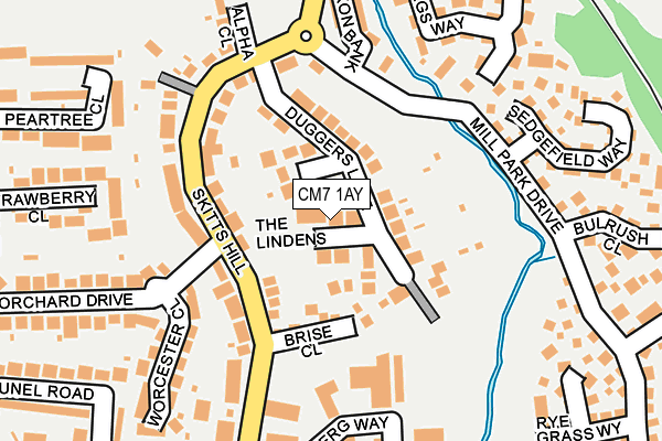 CM7 1AY map - OS OpenMap – Local (Ordnance Survey)