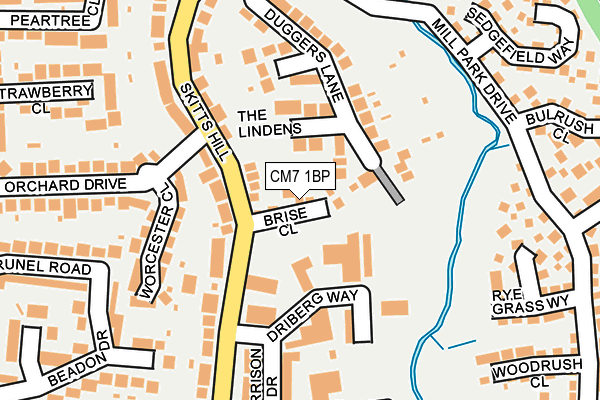 CM7 1BP map - OS OpenMap – Local (Ordnance Survey)