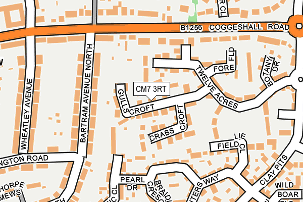 CM7 3RT map - OS OpenMap – Local (Ordnance Survey)
