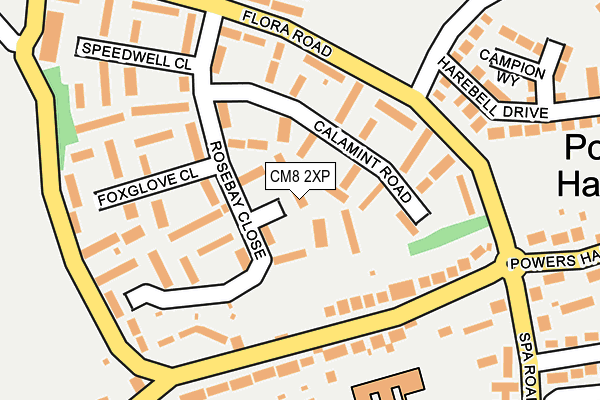 CM8 2XP map - OS OpenMap – Local (Ordnance Survey)