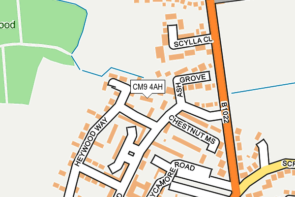 CM9 4AH map - OS OpenMap – Local (Ordnance Survey)