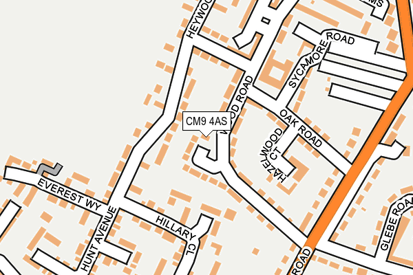CM9 4AS map - OS OpenMap – Local (Ordnance Survey)