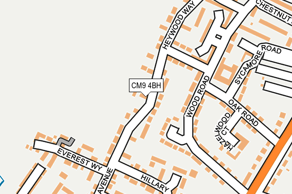 CM9 4BH map - OS OpenMap – Local (Ordnance Survey)