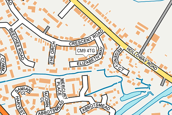 CM9 4TG map - OS OpenMap – Local (Ordnance Survey)