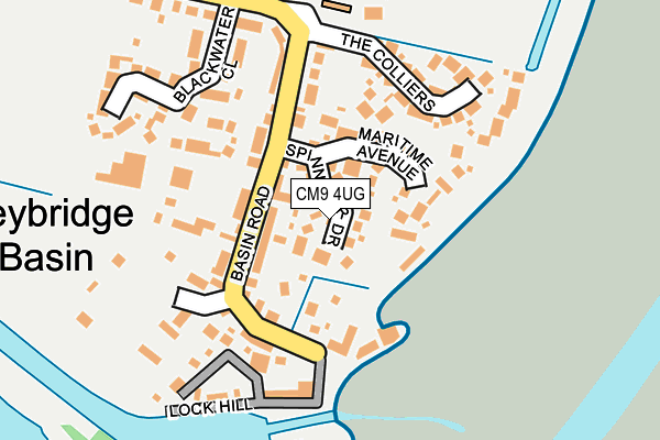 CM9 4UG map - OS OpenMap – Local (Ordnance Survey)