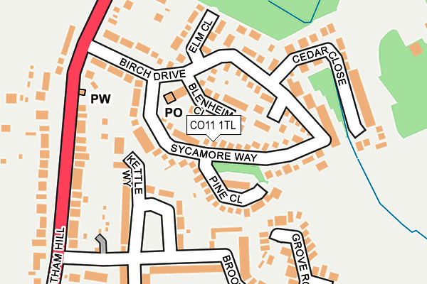 CO11 1TL map - OS OpenMap – Local (Ordnance Survey)