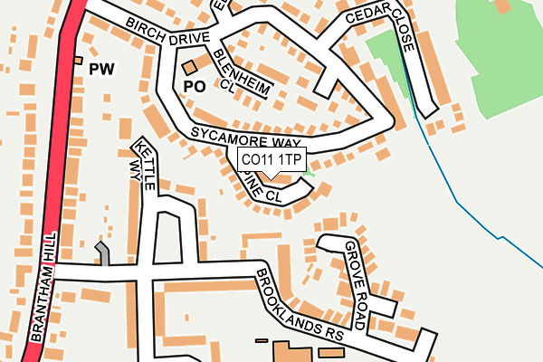 CO11 1TP map - OS OpenMap – Local (Ordnance Survey)