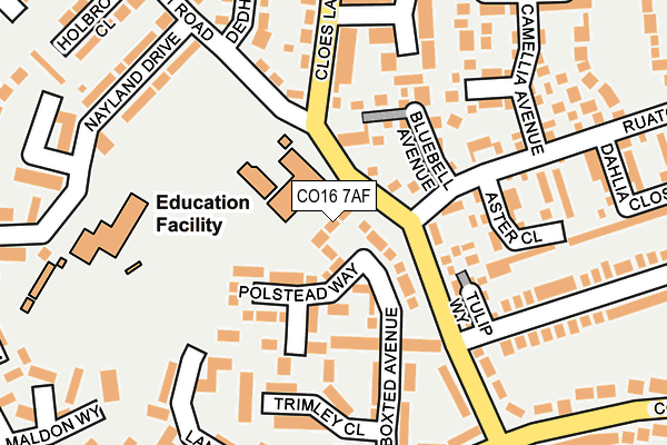 CO16 7AF map - OS OpenMap – Local (Ordnance Survey)