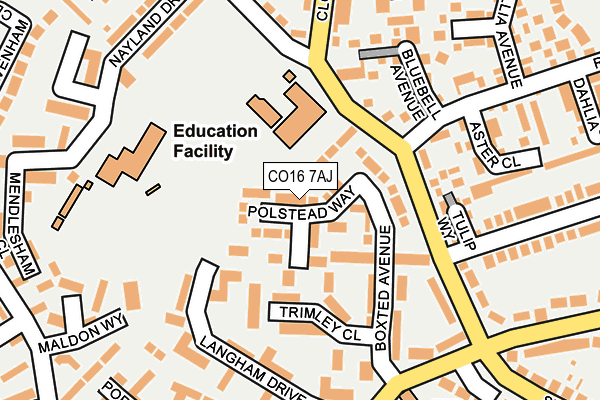 CO16 7AJ map - OS OpenMap – Local (Ordnance Survey)