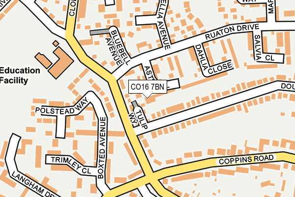 CO16 7BN map - OS OpenMap – Local (Ordnance Survey)