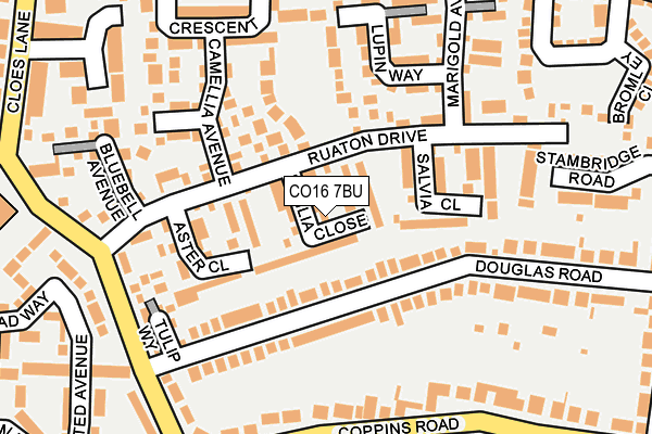 CO16 7BU map - OS OpenMap – Local (Ordnance Survey)