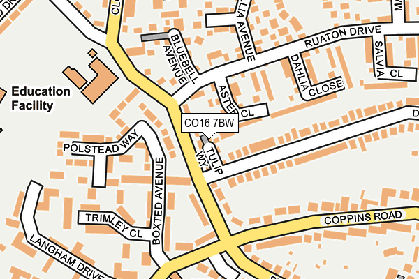 CO16 7BW map - OS OpenMap – Local (Ordnance Survey)