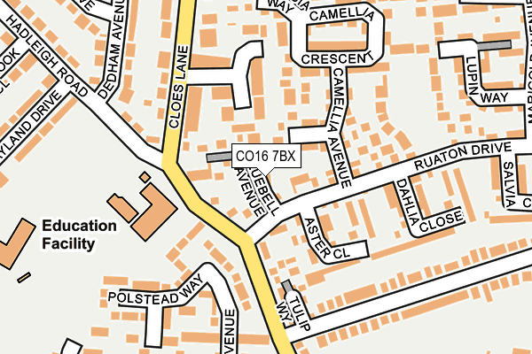 CO16 7BX map - OS OpenMap – Local (Ordnance Survey)