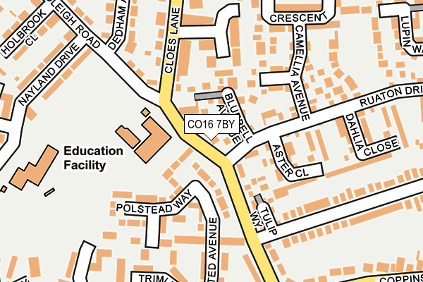 CO16 7BY map - OS OpenMap – Local (Ordnance Survey)