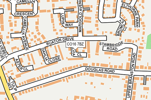 CO16 7BZ map - OS OpenMap – Local (Ordnance Survey)