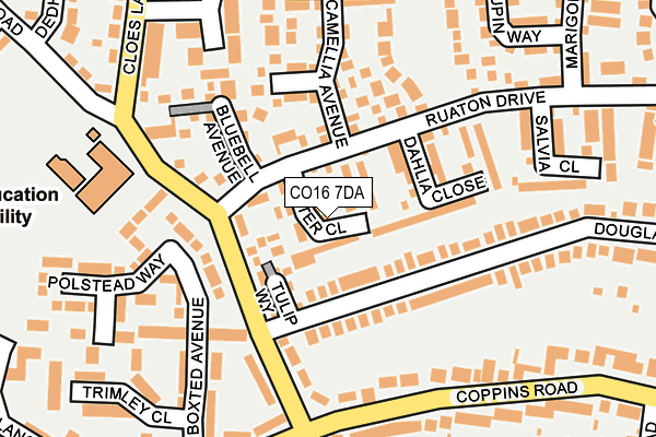 CO16 7DA map - OS OpenMap – Local (Ordnance Survey)