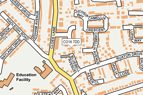 CO16 7DD map - OS OpenMap – Local (Ordnance Survey)