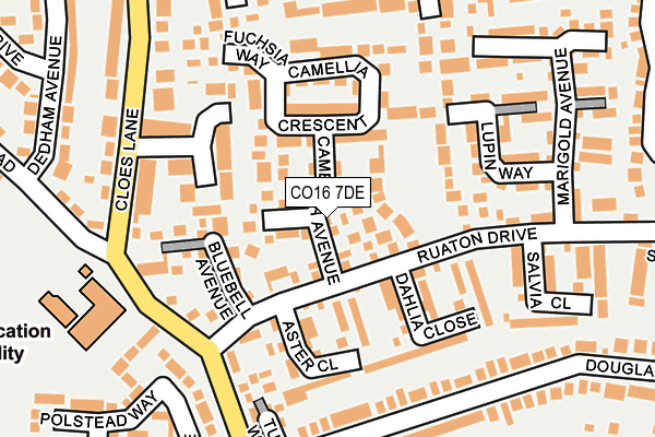 CO16 7DE map - OS OpenMap – Local (Ordnance Survey)