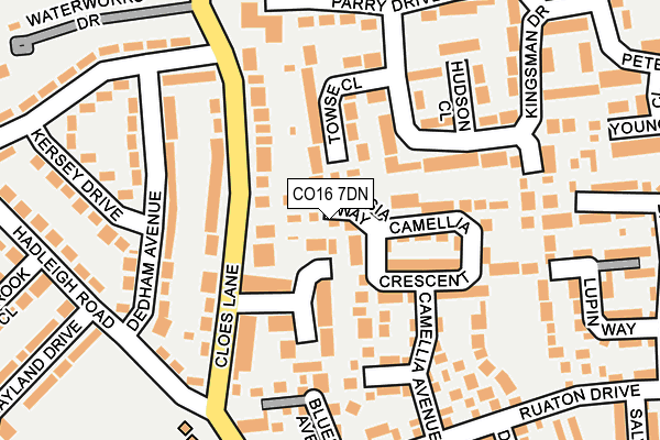 CO16 7DN map - OS OpenMap – Local (Ordnance Survey)