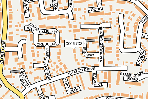 CO16 7DS map - OS OpenMap – Local (Ordnance Survey)