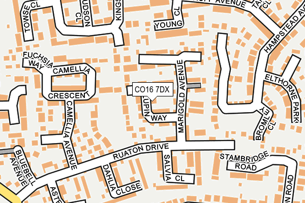 CO16 7DX map - OS OpenMap – Local (Ordnance Survey)