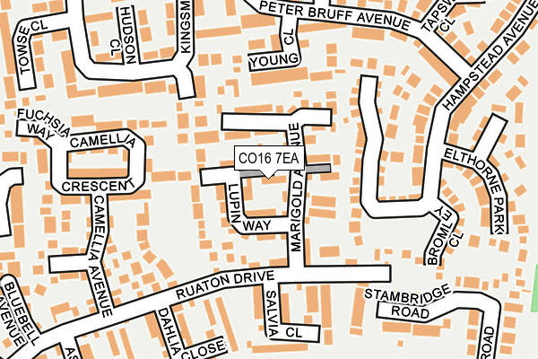 CO16 7EA map - OS OpenMap – Local (Ordnance Survey)