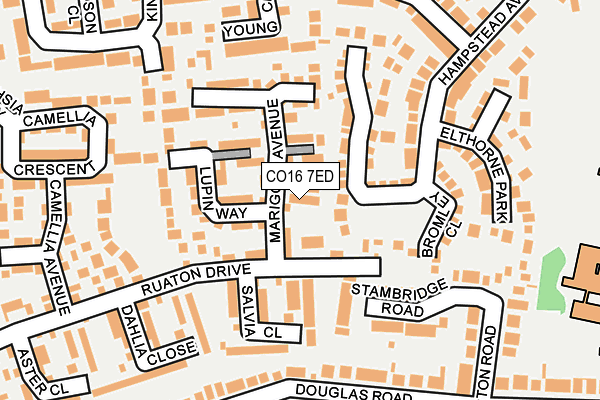 CO16 7ED map - OS OpenMap – Local (Ordnance Survey)