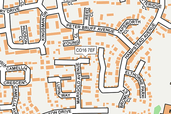 CO16 7EF map - OS OpenMap – Local (Ordnance Survey)