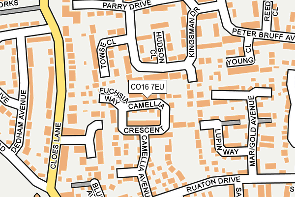 CO16 7EU map - OS OpenMap – Local (Ordnance Survey)