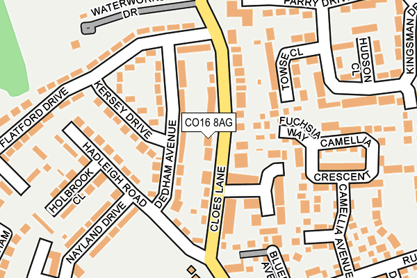 CO16 8AG map - OS OpenMap – Local (Ordnance Survey)
