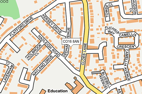 CO16 8AN map - OS OpenMap – Local (Ordnance Survey)