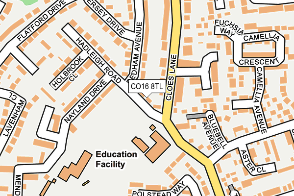 CO16 8TL map - OS OpenMap – Local (Ordnance Survey)