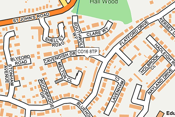 CO16 8TP map - OS OpenMap – Local (Ordnance Survey)