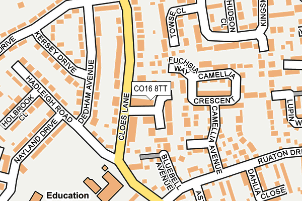 CO16 8TT map - OS OpenMap – Local (Ordnance Survey)